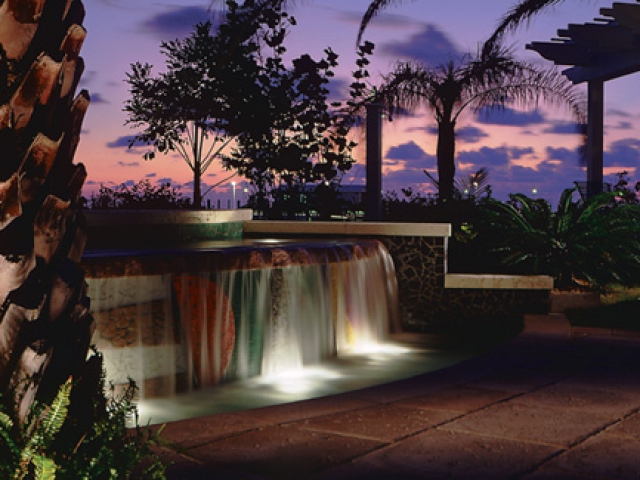 Hyatt Sunset Harbor - Key West FL sunset
