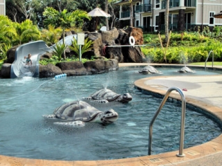 Westin Princeville Ocean Resort Villas - Pool
